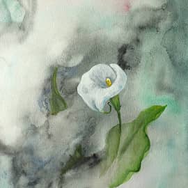 Сквозь ненастье