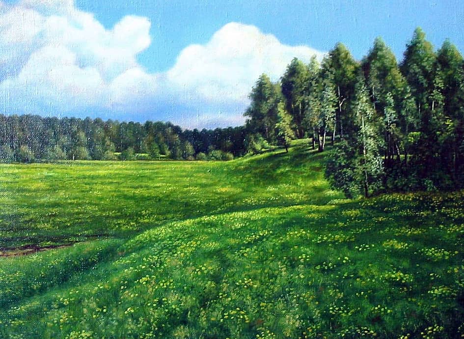 Одуванчиковые поляны  The Dandelion Glades