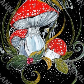 Мухоморррры..