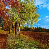 Осенняя аллея.