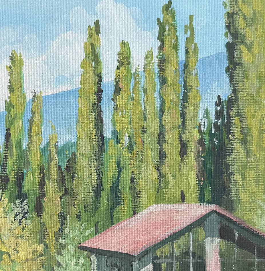 Абхазские кипарисы