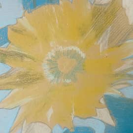 Нарциссовый портал