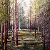 Таёжная благодать