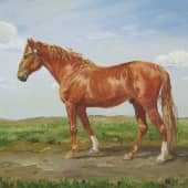 Рыжий конь.