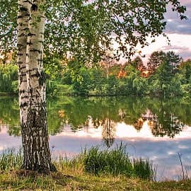 на рассвете