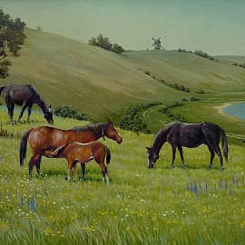 На донских просторах