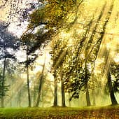 Цветные туманы осени.