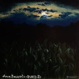 В странствии хаоса