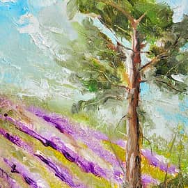 Сосна на холме