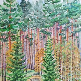 Сосновый бор Новосибирск