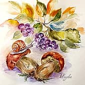 Грибы, ягоды