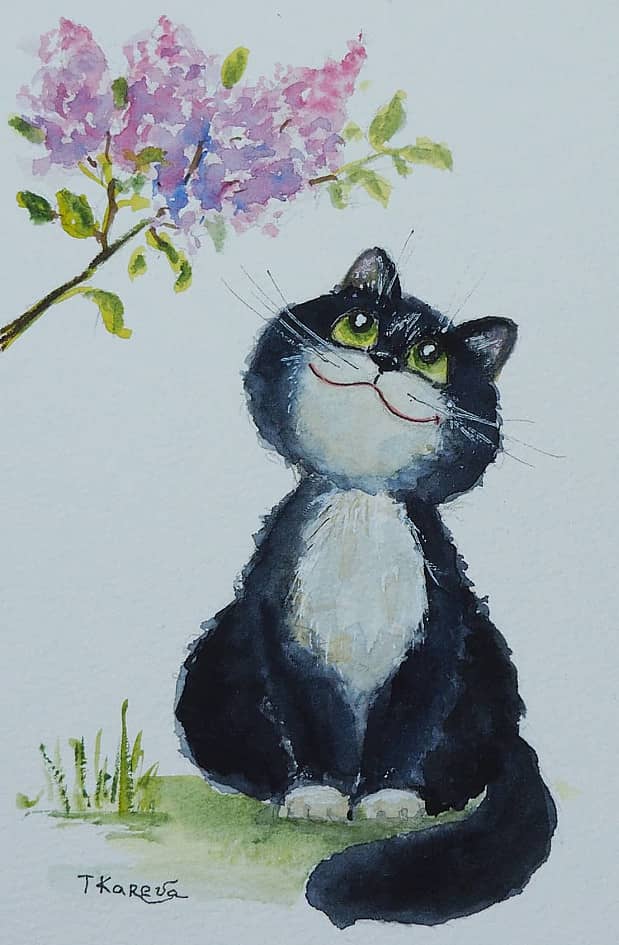 Кот Яша