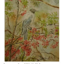 Ворона и рябина   2020  18х25   бумага акварель   вариант 2