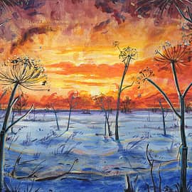 Закат борщевиков