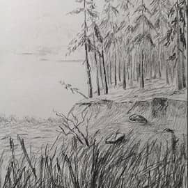 Пейзаж с соснами ( зарисовки )