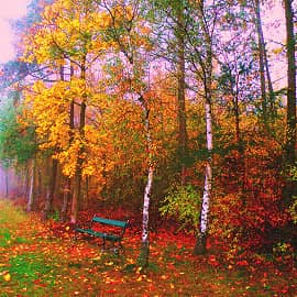 всё в тумане