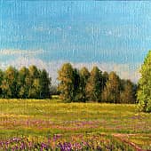 Среди полей. Июль 3  Among the Fields. July 3