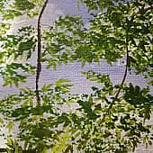 Ива над Волгой (1), художник Расияна