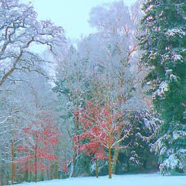 Осенние памятки.