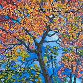 Клен расцветает осенью