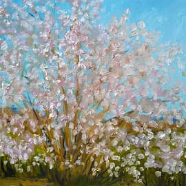 Майское цветение