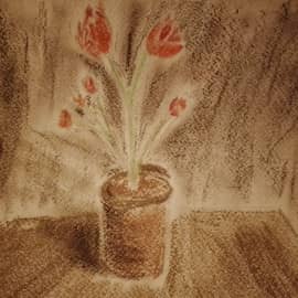 Цветок в горшке