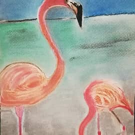 Фламинго