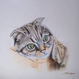 Царица дома 1