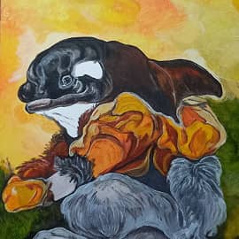 Сказочная Косатка- оборотень