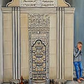 Сельсебиль, художник Людмила Соболь