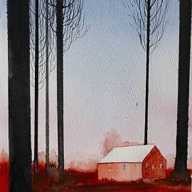 красный дом2