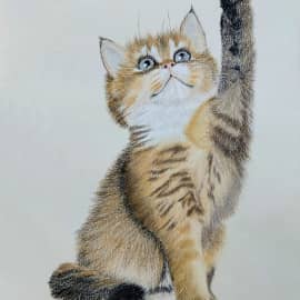 Пушистый котенок