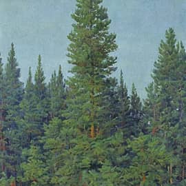 Картина "Ельник"