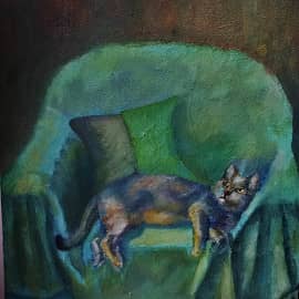 Кот на отдыхе