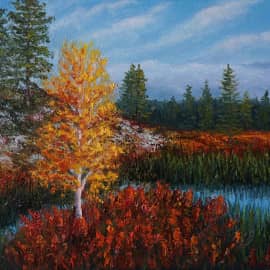 Северный край