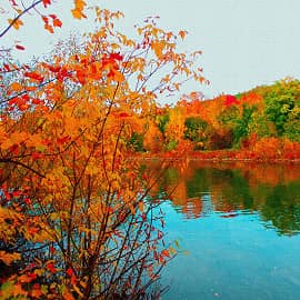 По осеннему берегу.