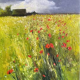 Поле с маками