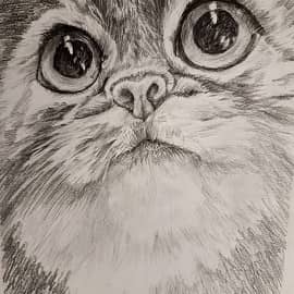 Я тебя вижу