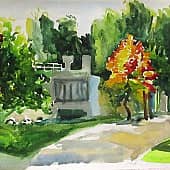 Радужное дерево