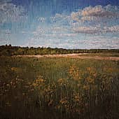 Поле родной стороны