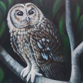 Ночной дозор