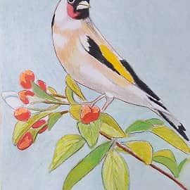 Щегол на ветке