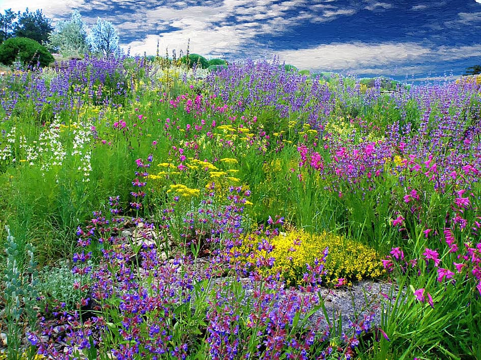 Цветы на склонах.