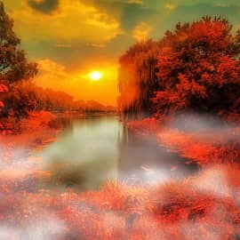 осенний туман5