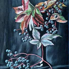 Дикий виноград