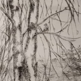 Две вороны на березе