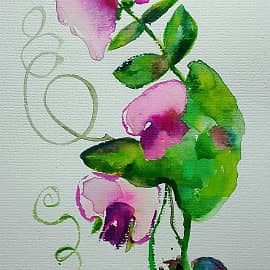 Мышиный горошек