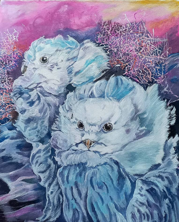 Две полярные совы