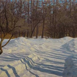 Февральские тени