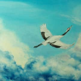 Выше облаков